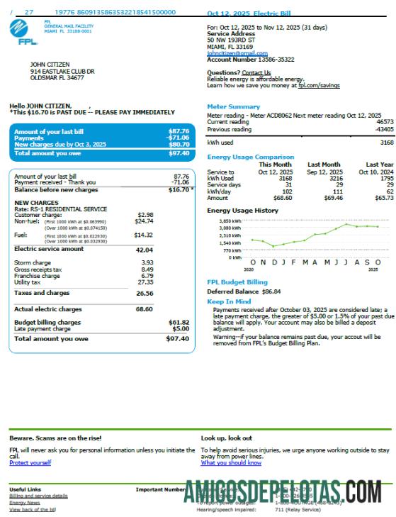 realista Modelo de conta de serviços públicos FPL dos EUA em formatos Word e PDF, versão 3